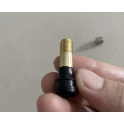 Valvula de ar estendida para trotinete Segway ZT3 / Segway Max G3 ou similar  - 2 Compatibilidade: extensao de valvula para Segw