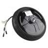 Mootor Ninebot ES1, ES2, ES3, ES4 elektritõukerattale või sarnasele Segway - Ninebot - 5 Sobib Ninebot ES1, ES2, ES3 ja ES4 elek