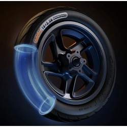 Tsyala predna dzhanta sŭs spirachen disk za Segway F2, F2 Plus, F2 Pro ili podoben - 10x2.5 incha Segway - Ninebot - 6 Tsyala pr