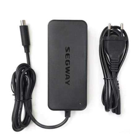 Oryhinalʹnyy zaryadnyy prystriy dlya elektrosamokata Segway Ninebot F25 F30 F40 D18E D28E D38E abo analohichnoho Segway - Ninebo