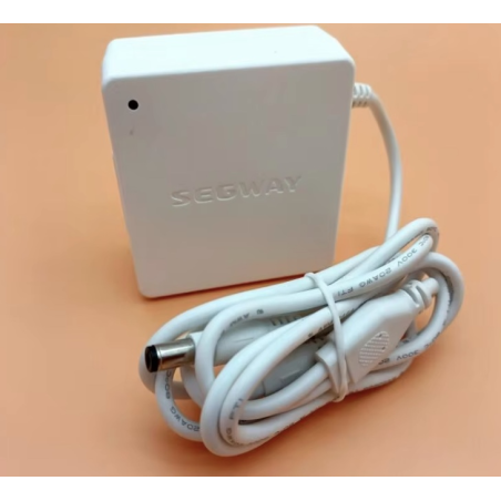 Originalni notranji polnilec baterij za Segway Ninebot W1 Drift - 25v 1.5A  - 1 Originalni notranji polnilec baterij za Segway N